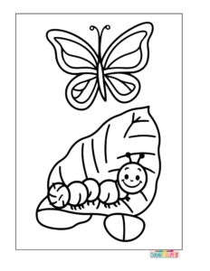 Butterfly and Friendly Caterpillar
