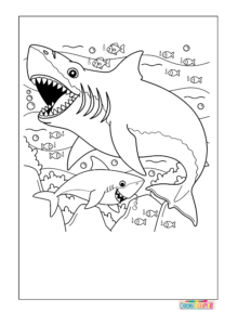 ocean coloring pages for adults