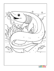 sea animal coloring pages