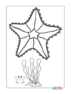 sea animal coloring pages