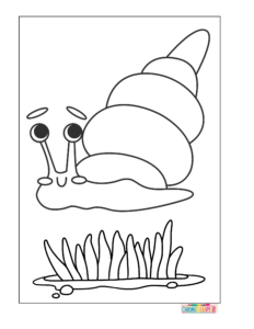 sea animal coloring pages